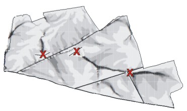 example of NERM in use