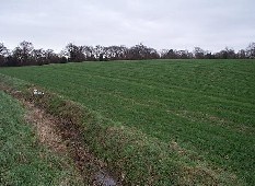field A