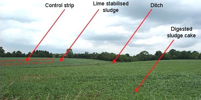Field A annotated to show application areas and the control strip