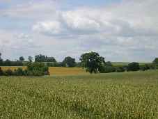 Field A ditch
