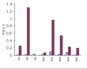Phosphorus concentration in sample piezometers