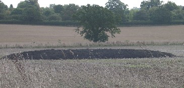 Biosolids stockpiled prior to spreading on agricultural land