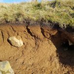 oil from the Bowland fells, Lancashire England showing a highly organic surface horizon