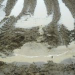 Soil compaction and runoff