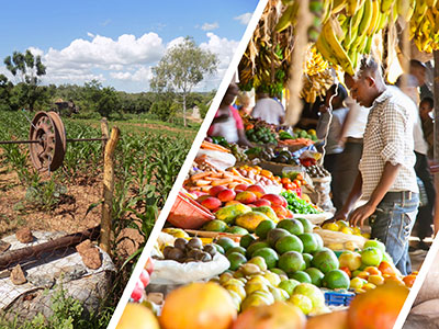 Solutions to Global Challenges