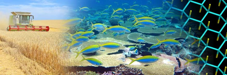 Lancaster researchers listed among world's most influential