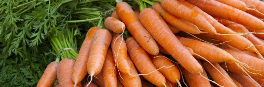 Vegetables could hold the key to stronger buildings and bridges