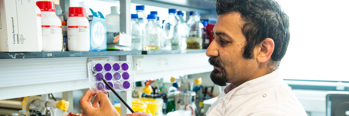 Prof Munir in a research lab