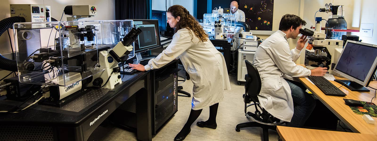 Students in a lab