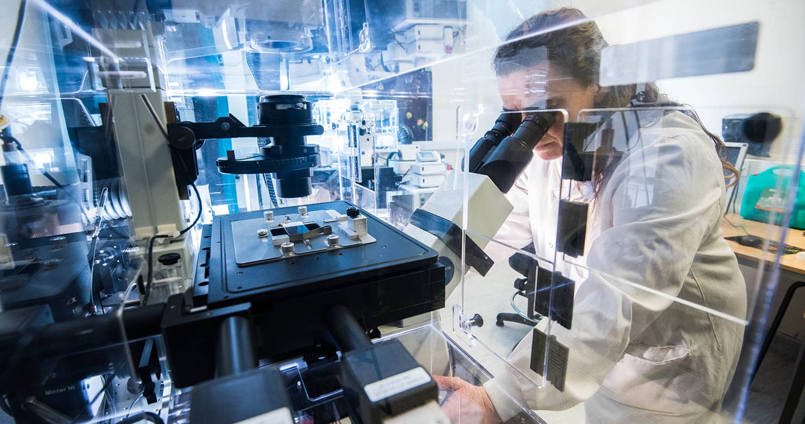 Students in a lab