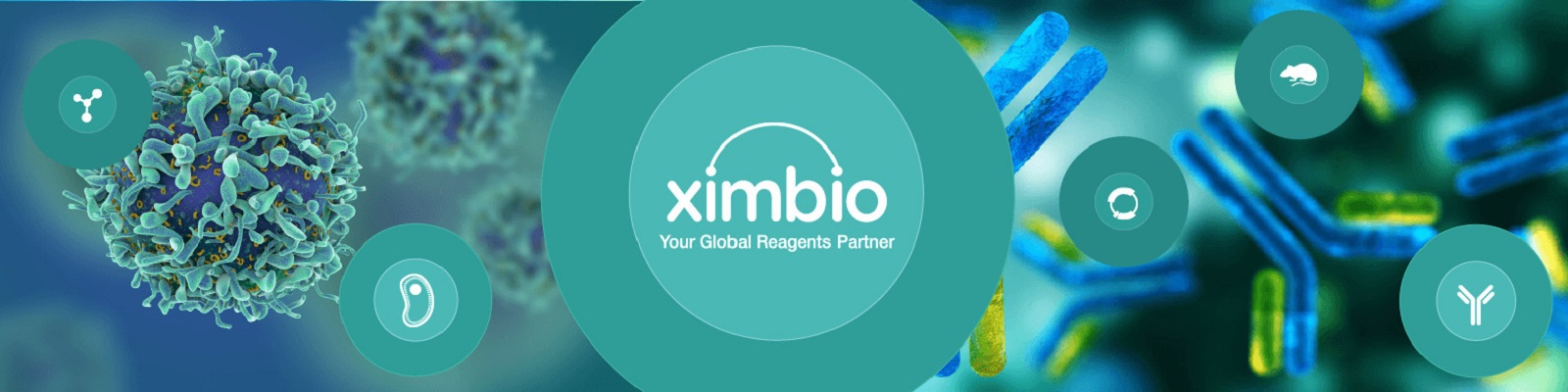 Ximbio Logo with Reagent pictures