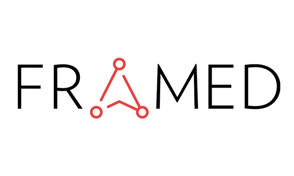 The logo of Framed Data Science Inc