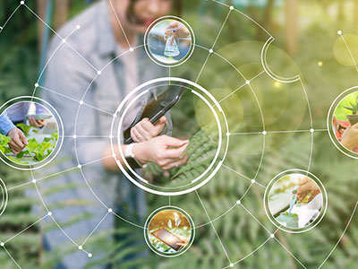 small circular images of some research over a background image of a person in some ferns