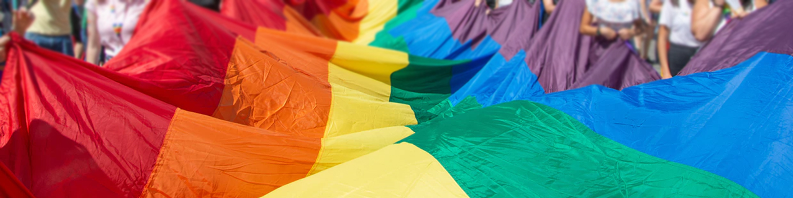 LGBTQ+ flag