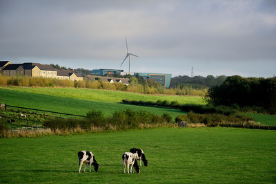 wind turbine