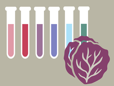 Graphic illustration of testtubes and red cabbage.