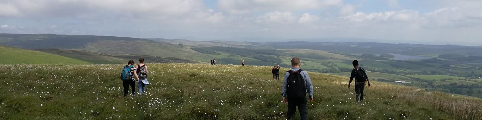 View of Hills in Bowland Forest