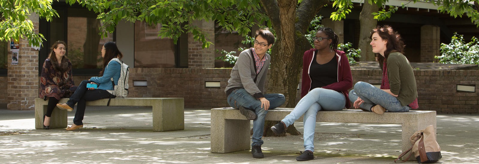 Students on benches