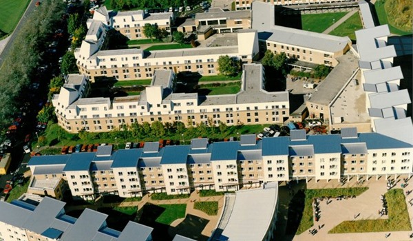 Grizedale from above, archive 600x350