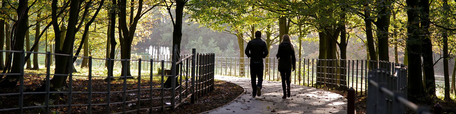 Students walked, talking along the campus woodland walk.