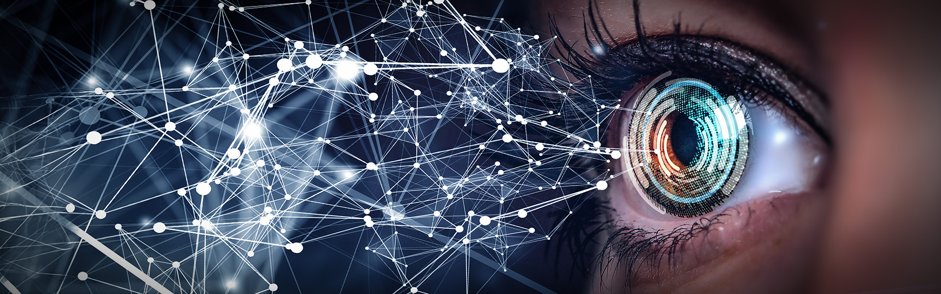Cyber network eye