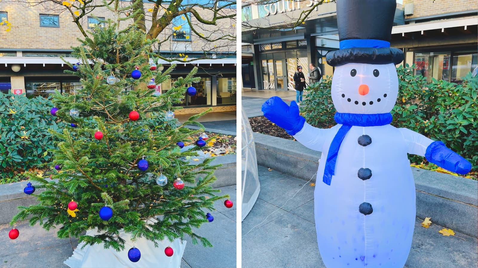 A compilation of two images, one showing a large Christmas tree covered with baubles and lights. The other image shows an inflatable snowman.