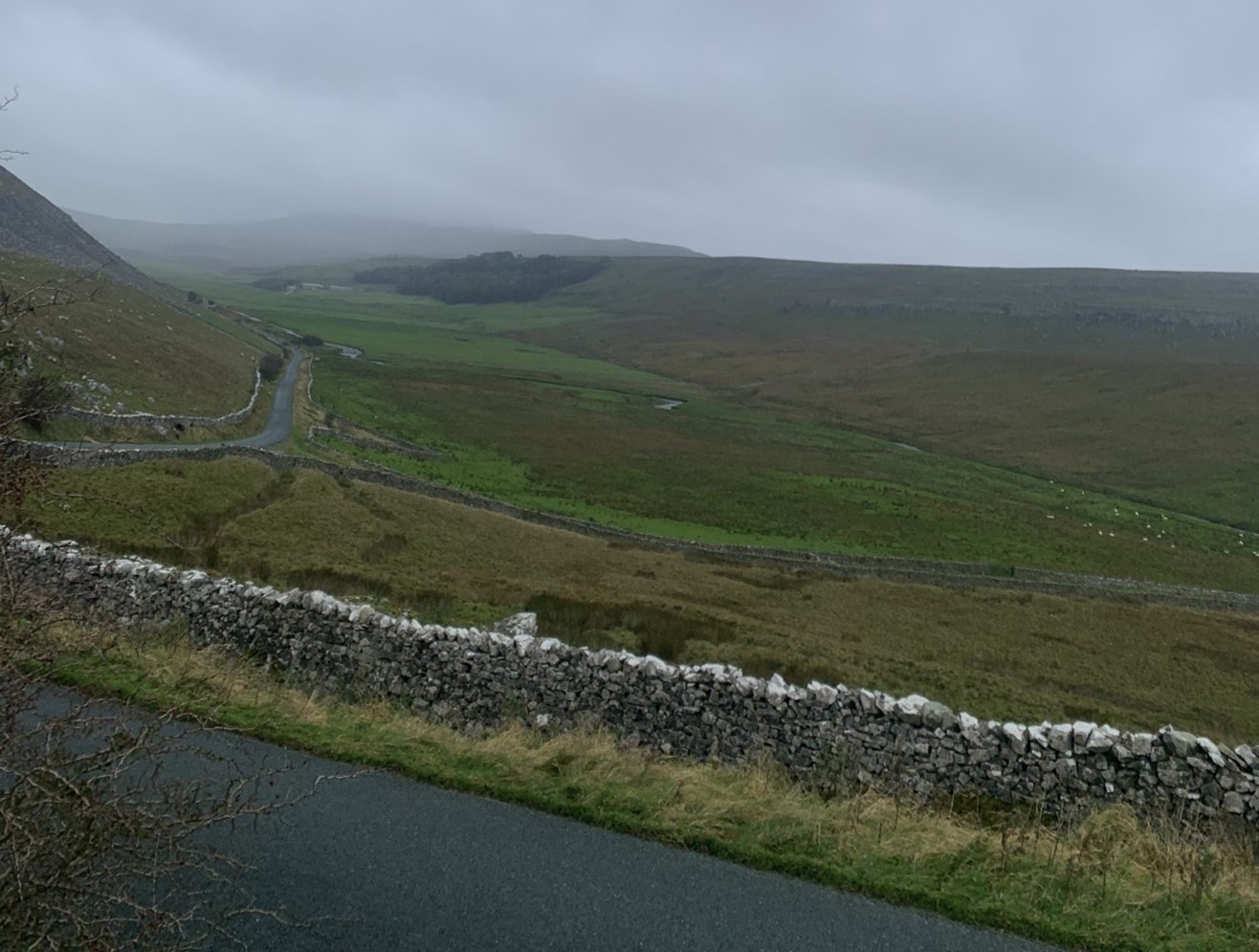 A country road next to a large field and mountain in the distance