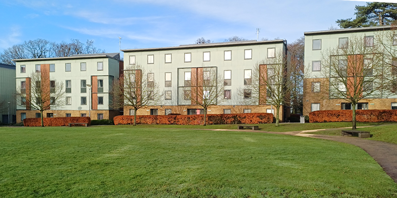Lancaster University on-campus accommodation, with a path surrounded by trees and greenery in the foreground.
