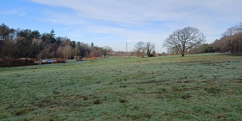 A view of the scenic path towards Lake Carter and the Health Innovation Campus, surrounded by trees and green fields.