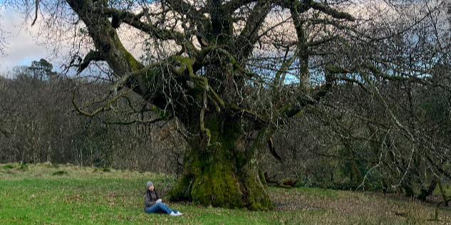 A person sitting under a tree.