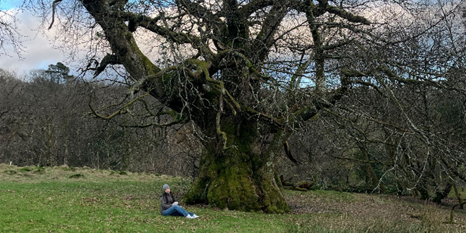 A person sitting under a tree.