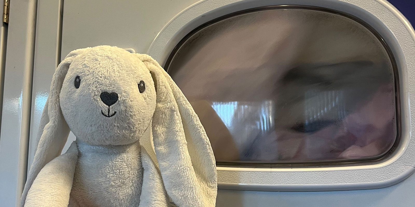 A person holding a bunny next to the drying machine.