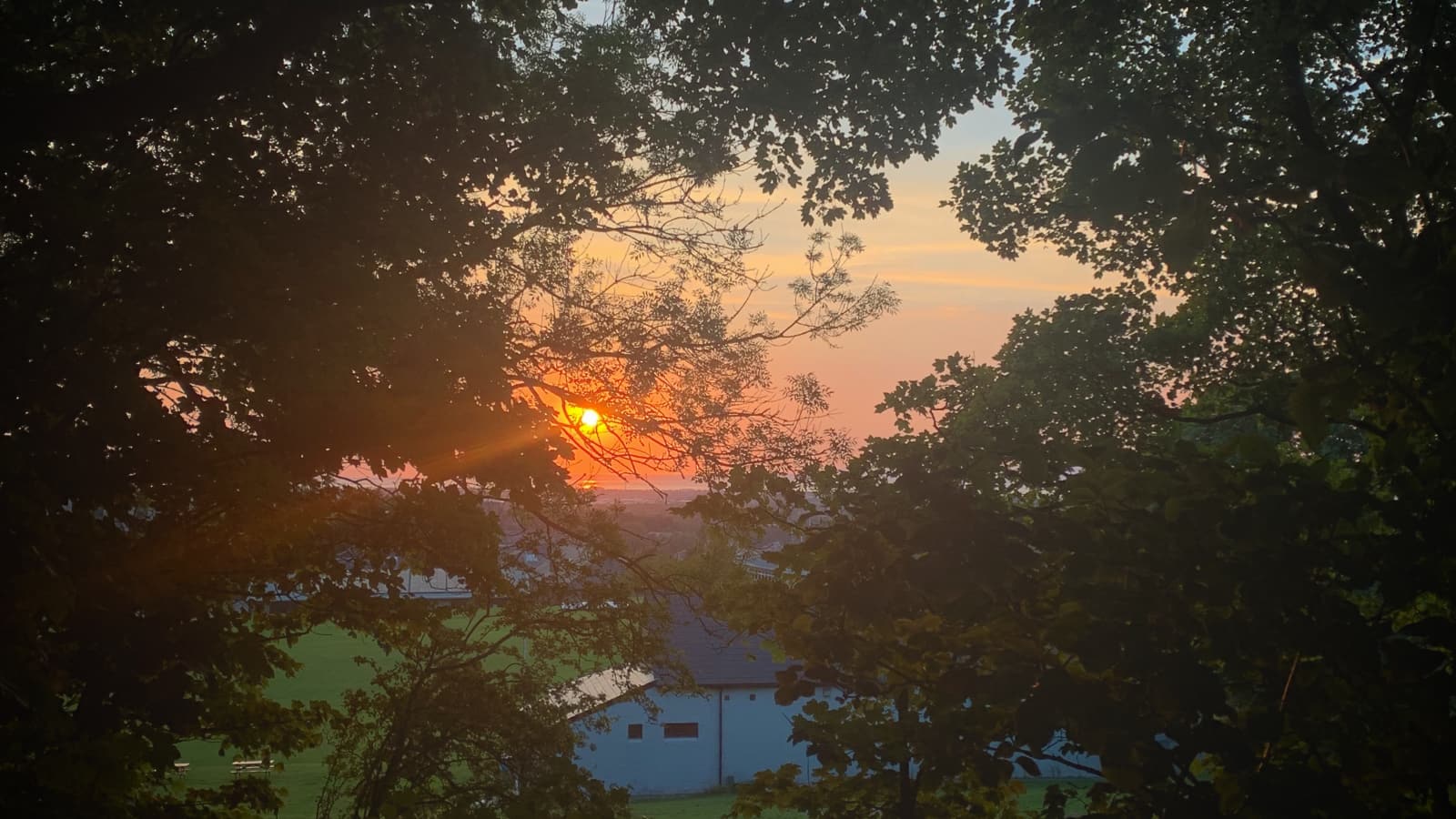 The sun sets over Morecambe Bay, and is glimpsed through trees.