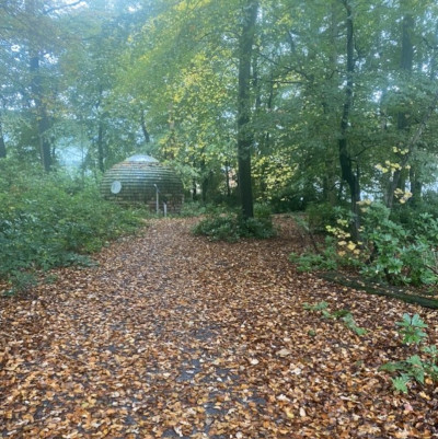 Woodland trail