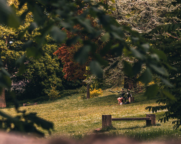 Green space and trees with a wooden bench