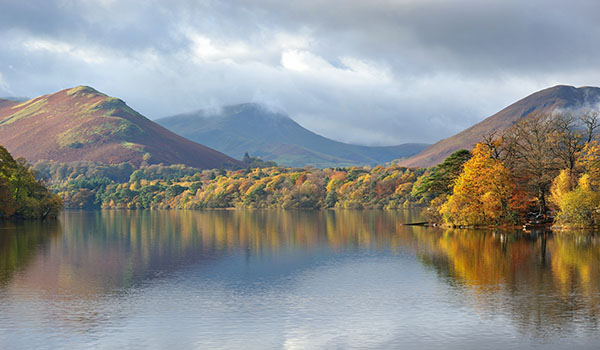 Person working at a bench