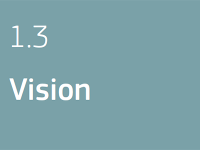 1.3 Vision