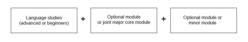 degree structure first year: Language Studies (advanced or beginners) + Optional module or joint major core module + Optional module or minor module