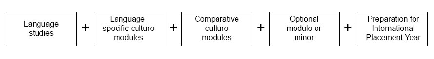 degree structure second year: Language studies + Languagespecific culture modules + Comparative culture modules + Optional module or minor + Preparation for International Placement Year