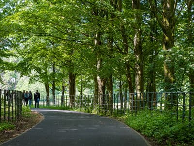 Students walking along the woodland walk on campus