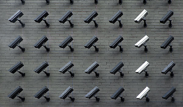 Wall covered in rows of cameras. Photo by Lianhao Qu