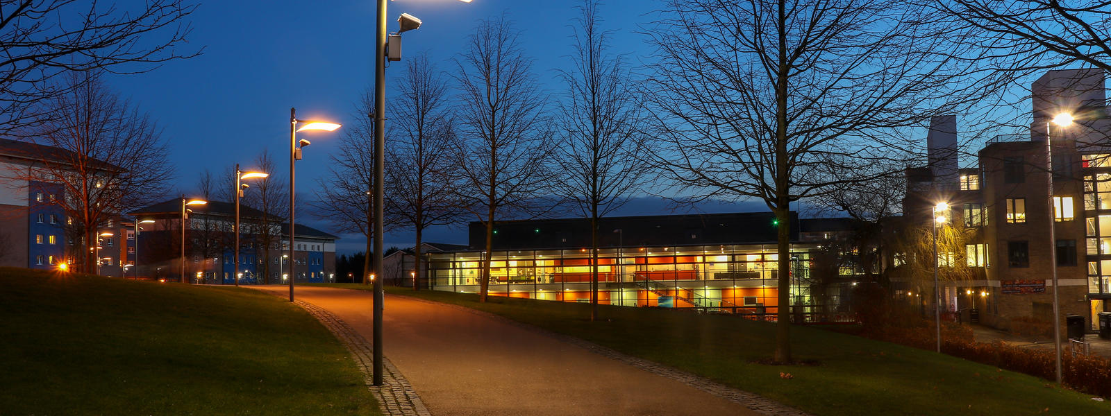 Night time shot of campus