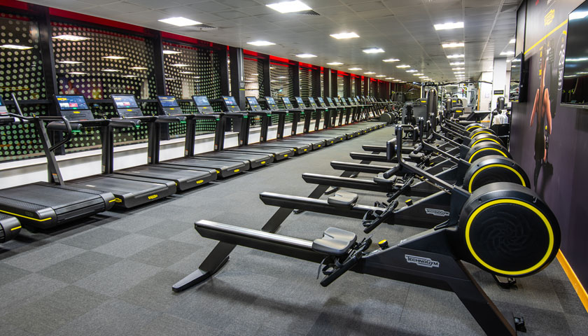 Cardio and Fixed Resistance Fitness Suite