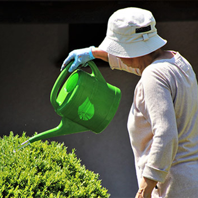 older lady watering garden