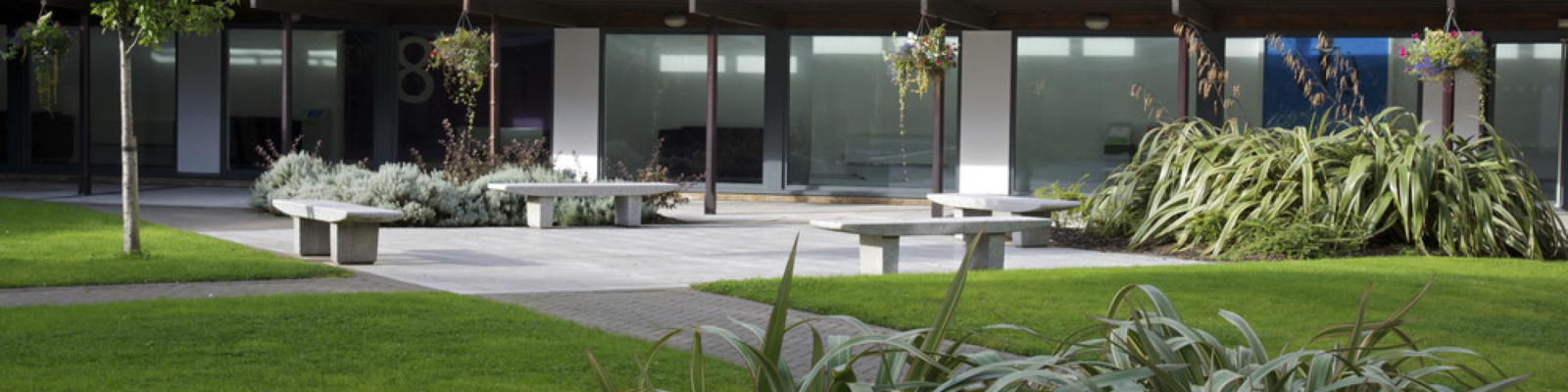 Bowland North Quad, a green space with benches.