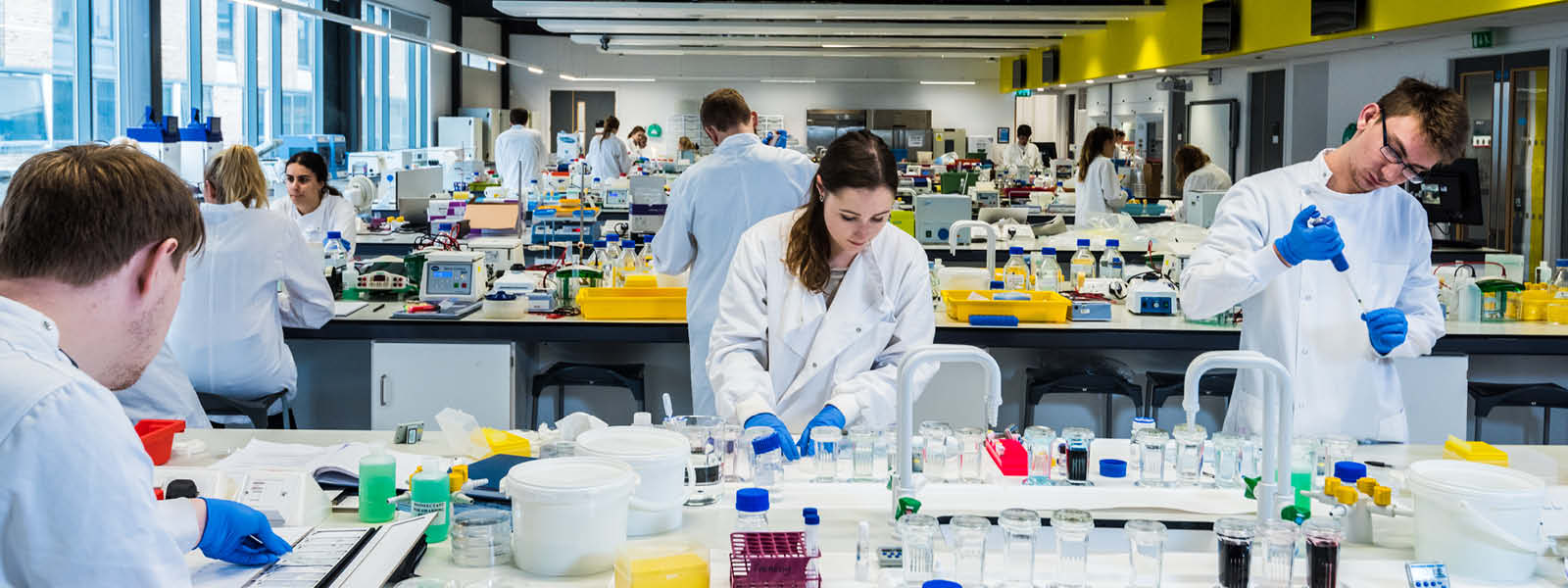 A group of students working in one of our labs