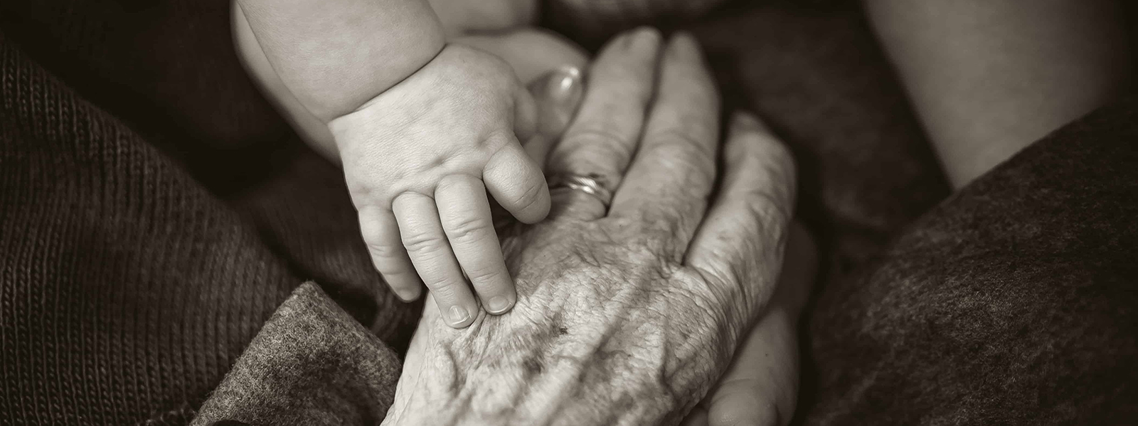 An image of two hands holding, one is old, and the other is young. Collaboration is important