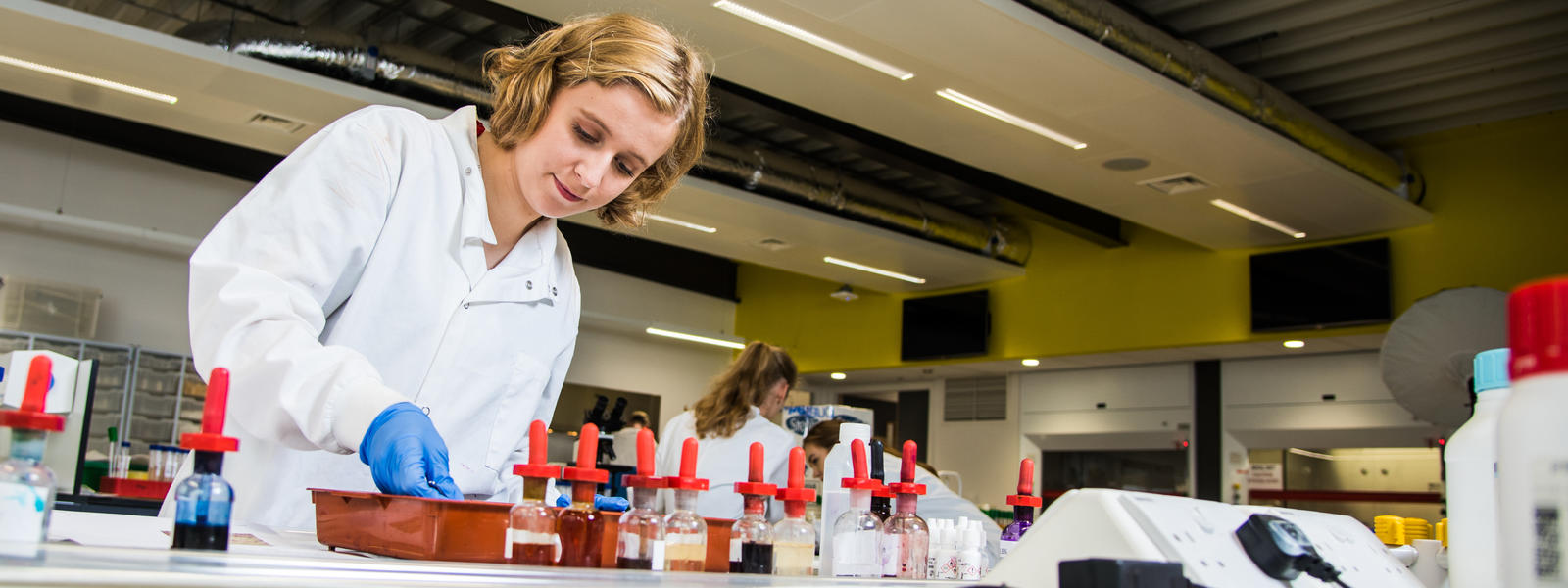 Woman working in the lab