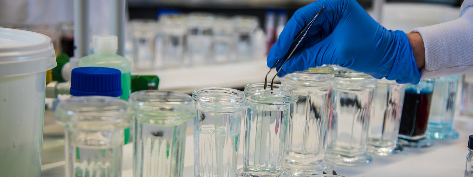 Lab work in brand new bioscience facilities at Lancaster