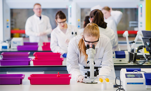 A student looks through a microscope in the Teaching Labs